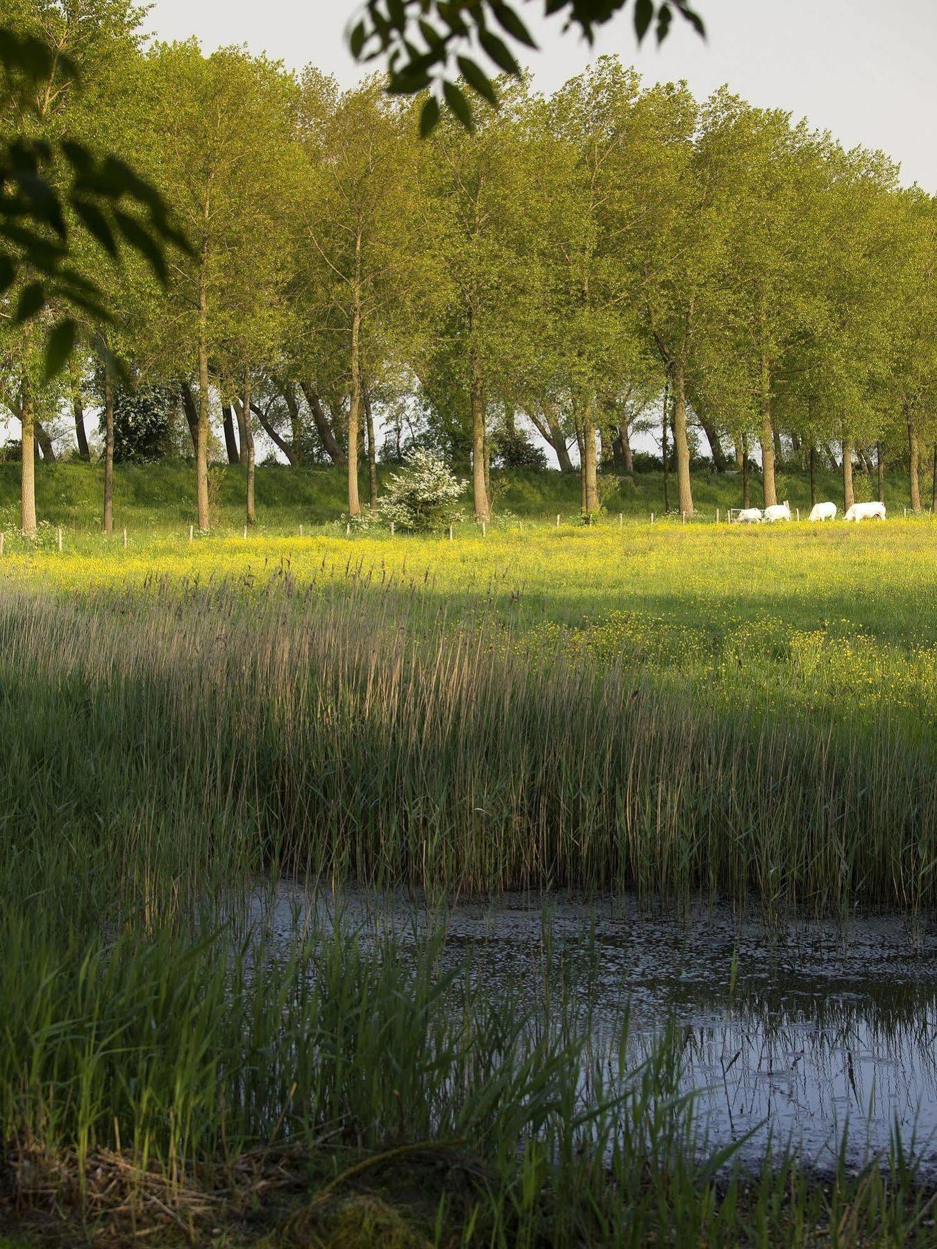 B&B Pronkenburg Brugge Eksteriør billede